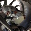 IMG 0621 (640x480)