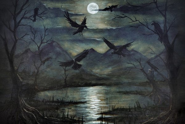 Ravens reveal past ages