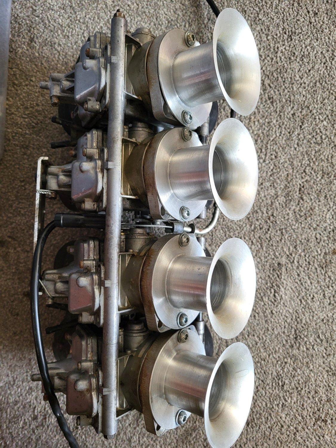 20240810_190446.jpg